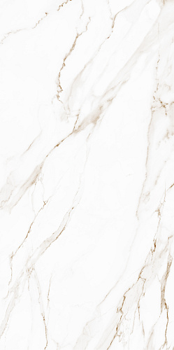 Golden white PG 01